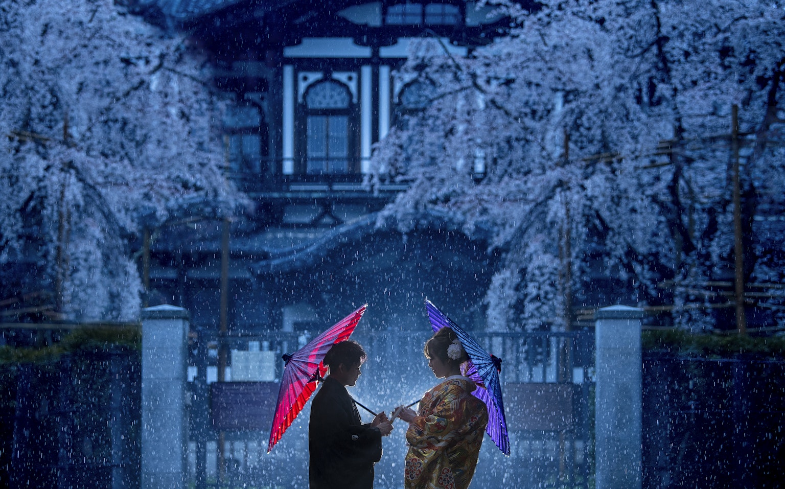 Image by 竹中 岩仁